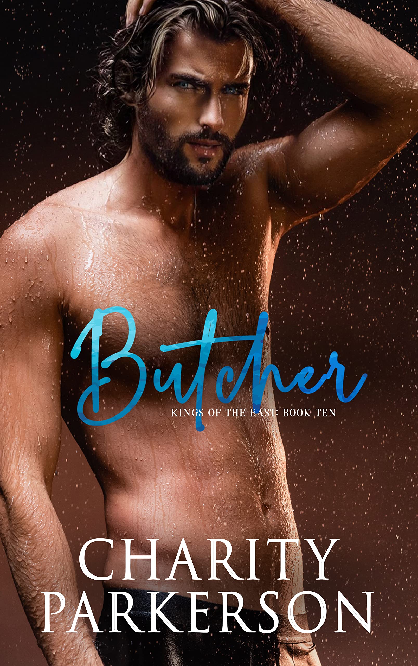 Butcher book cover