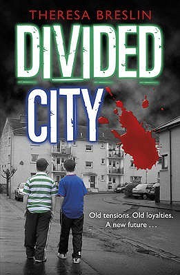 DIVIDED CITY book cover