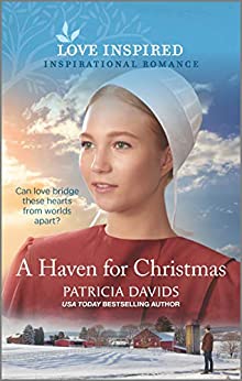 A Haven for Christmas book cover
