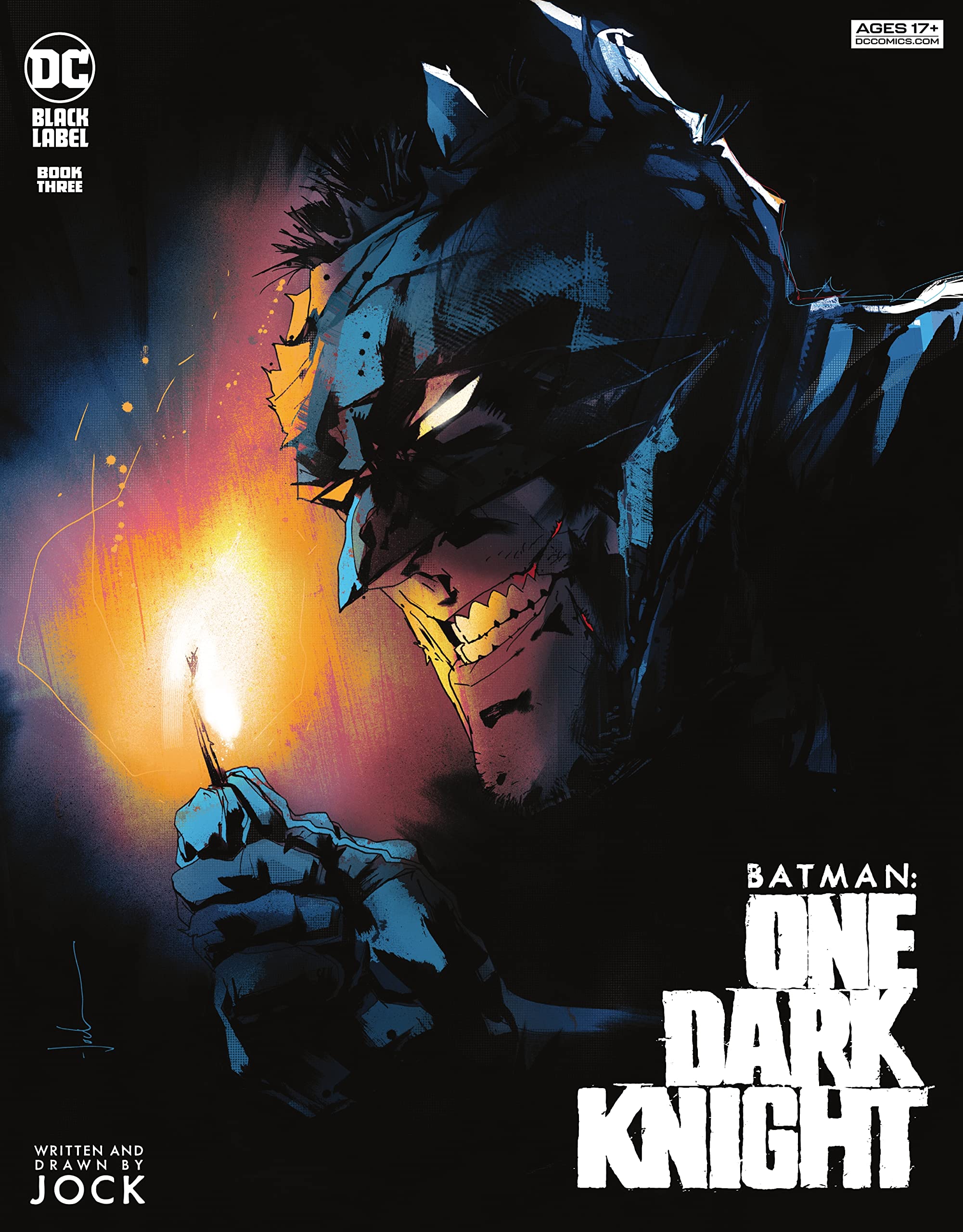 Batman: One Dark Knight book cover 3