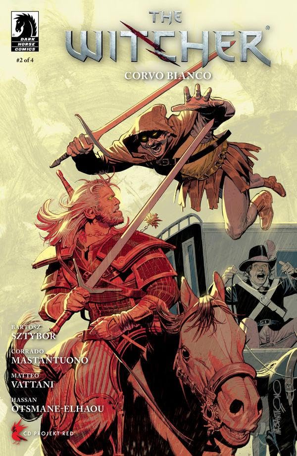 The Witcher book cover