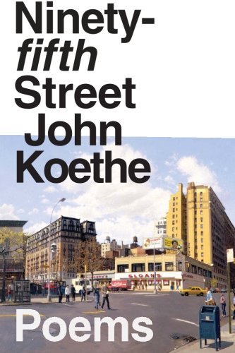 Ninety-fifth Street book cover