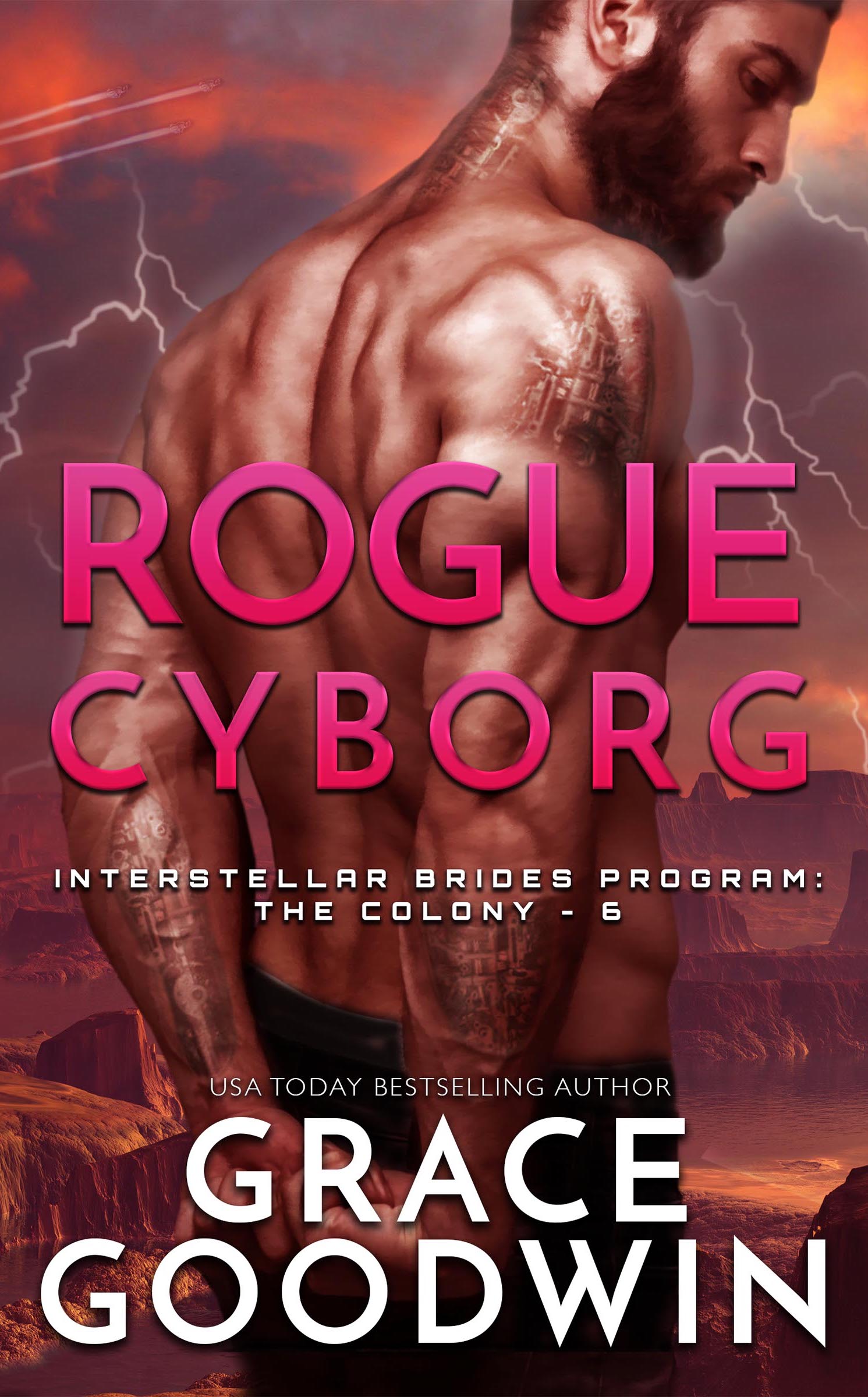 Rogue Cyborg book cover