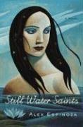 Still Water Saints book cover