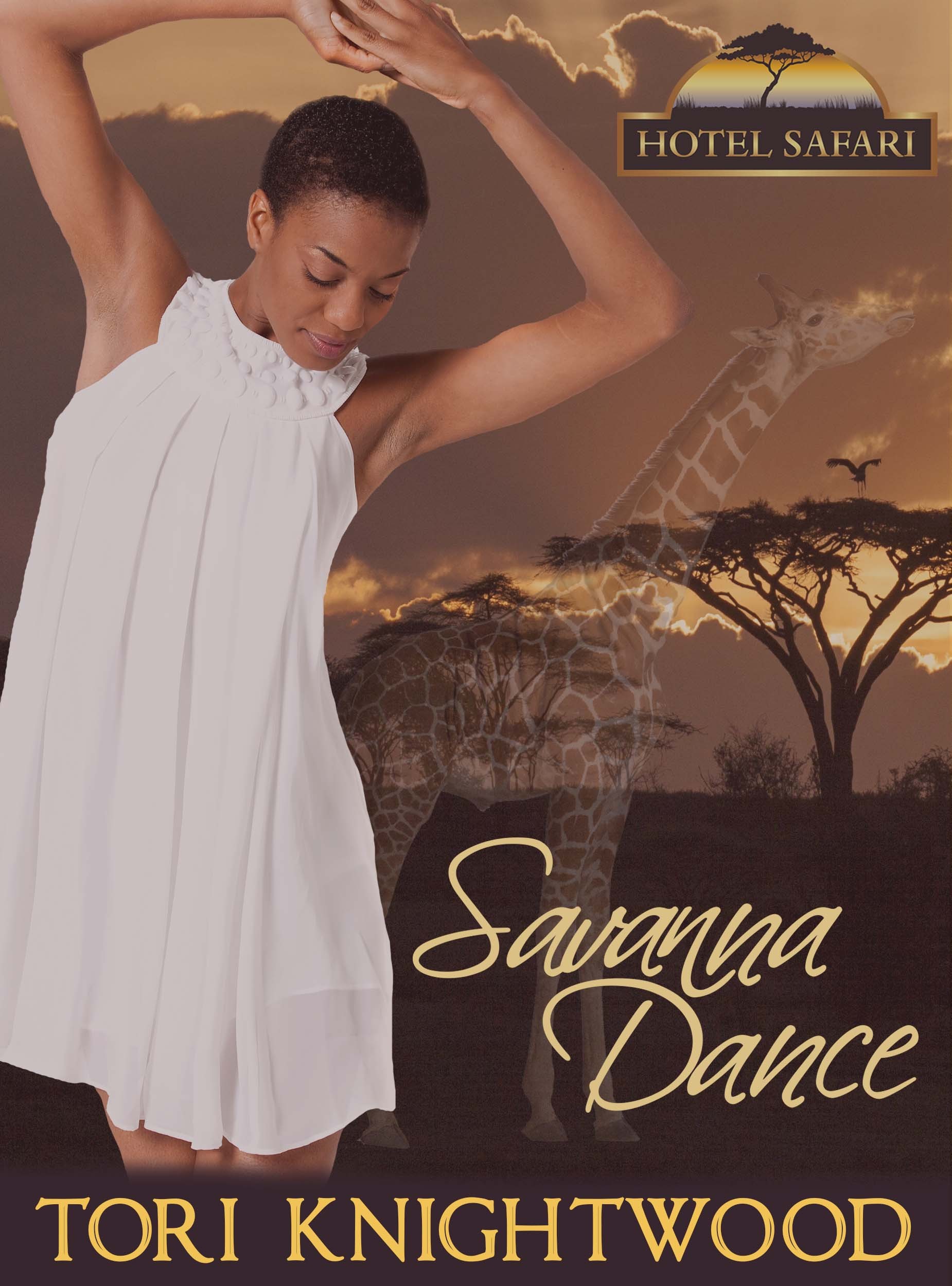 Hotel Safari book cover 2