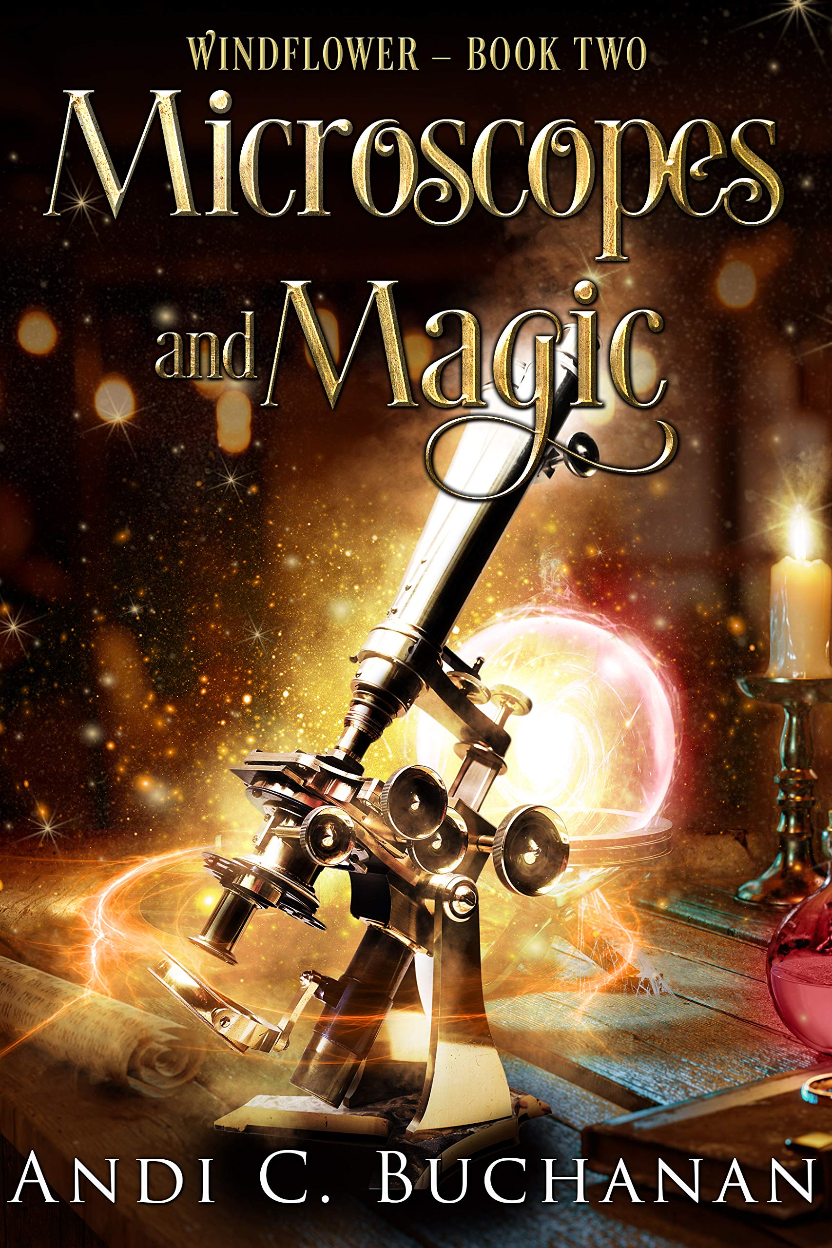 Windflower book cover 2