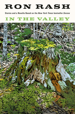 In the Valley book cover