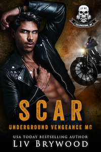 Scar book cover