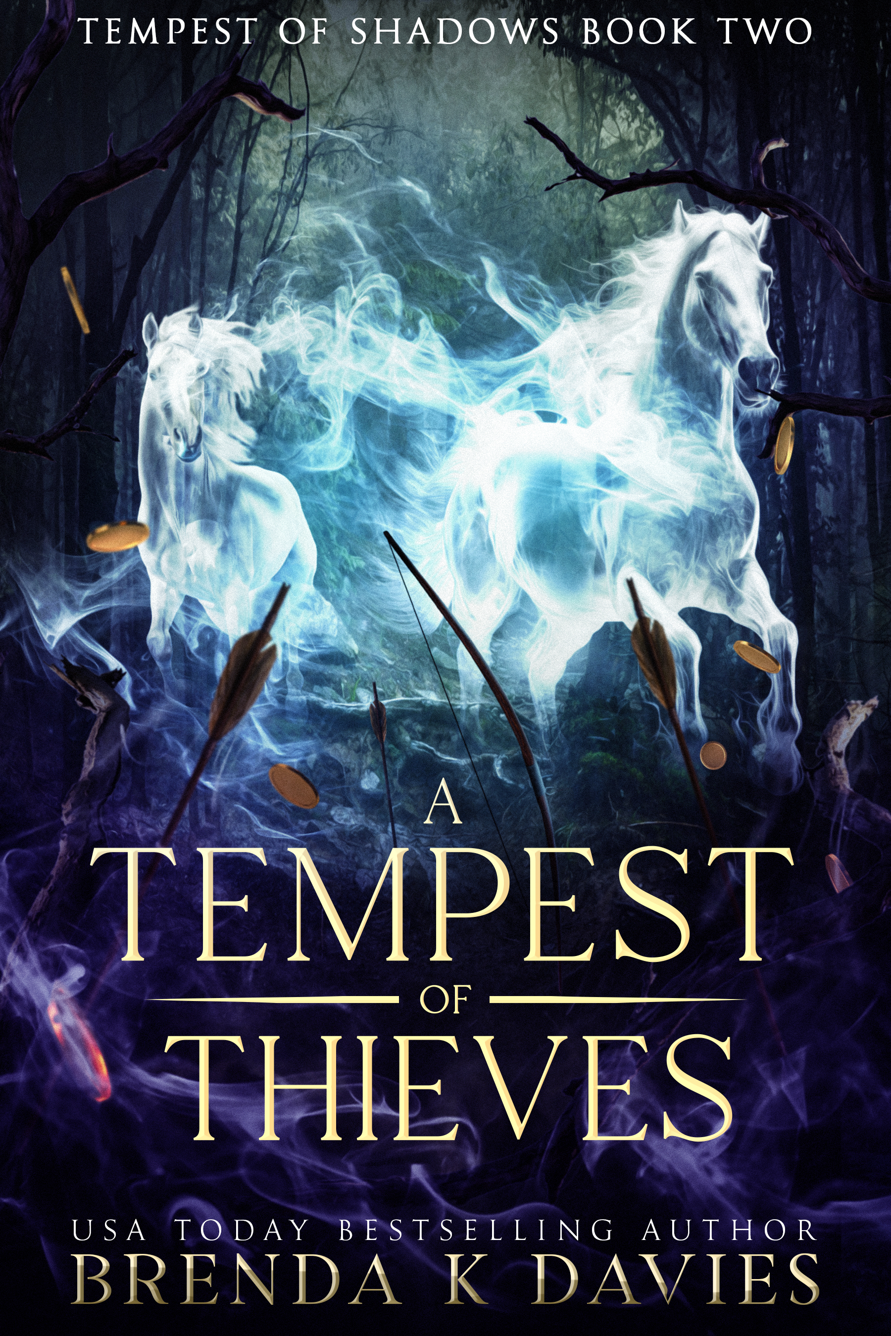 A Tempest of Thieves book cover