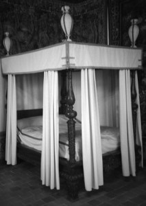 Una cama terriblemente rara book cover
