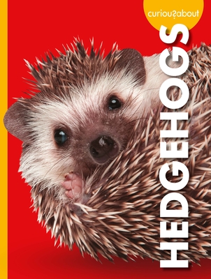 Curious about Hedgehogs book cover