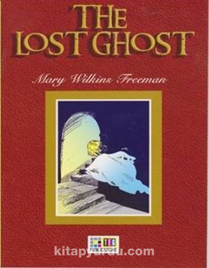 The Lost Ghost book cover