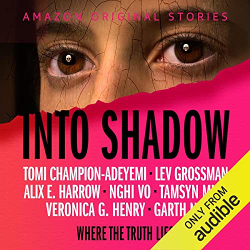 Into Shadow book cover