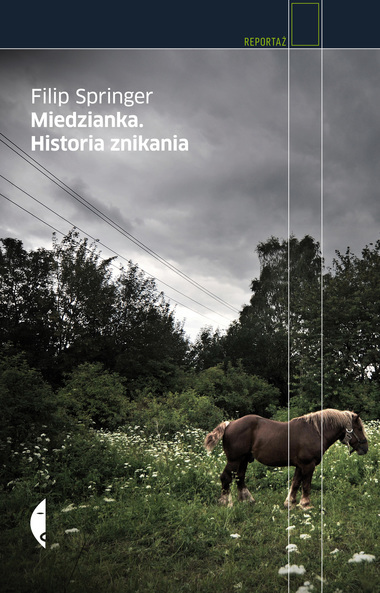 History of a Disappearance book cover