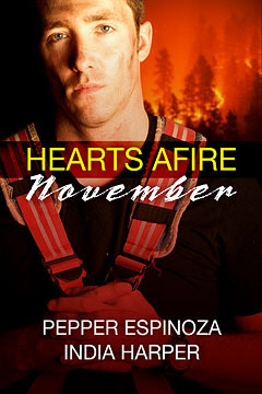 Hearts Afire book cover