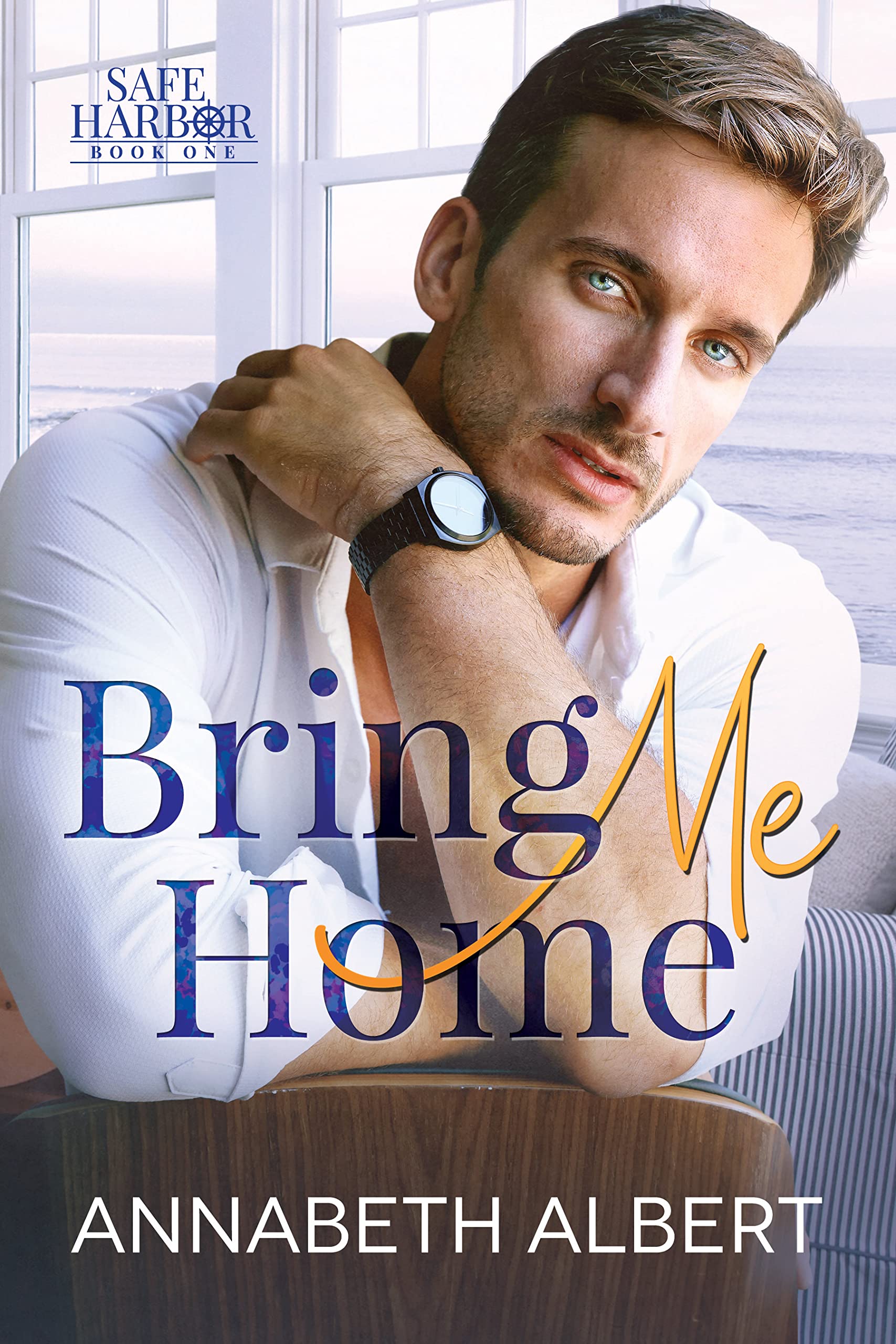 Safe Harbor book cover 1