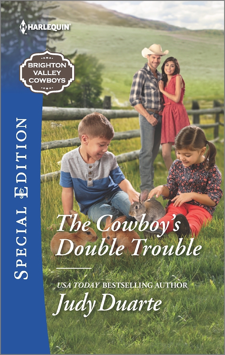 The Cowboy's Double Trouble book cover