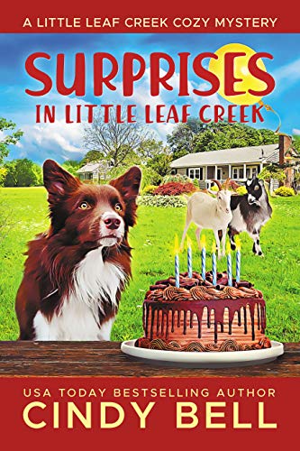 Surprises In Little Leaf Creek book cover