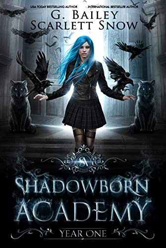 Dark Fae Academy book cover 1