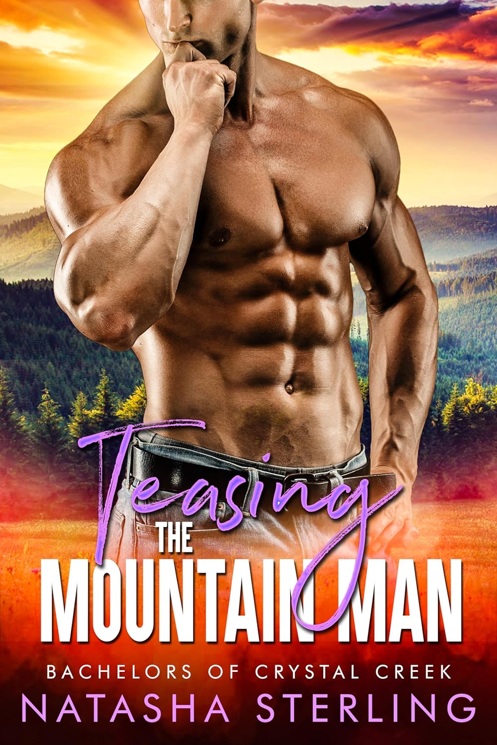 Teasing the Mountain Man book cover
