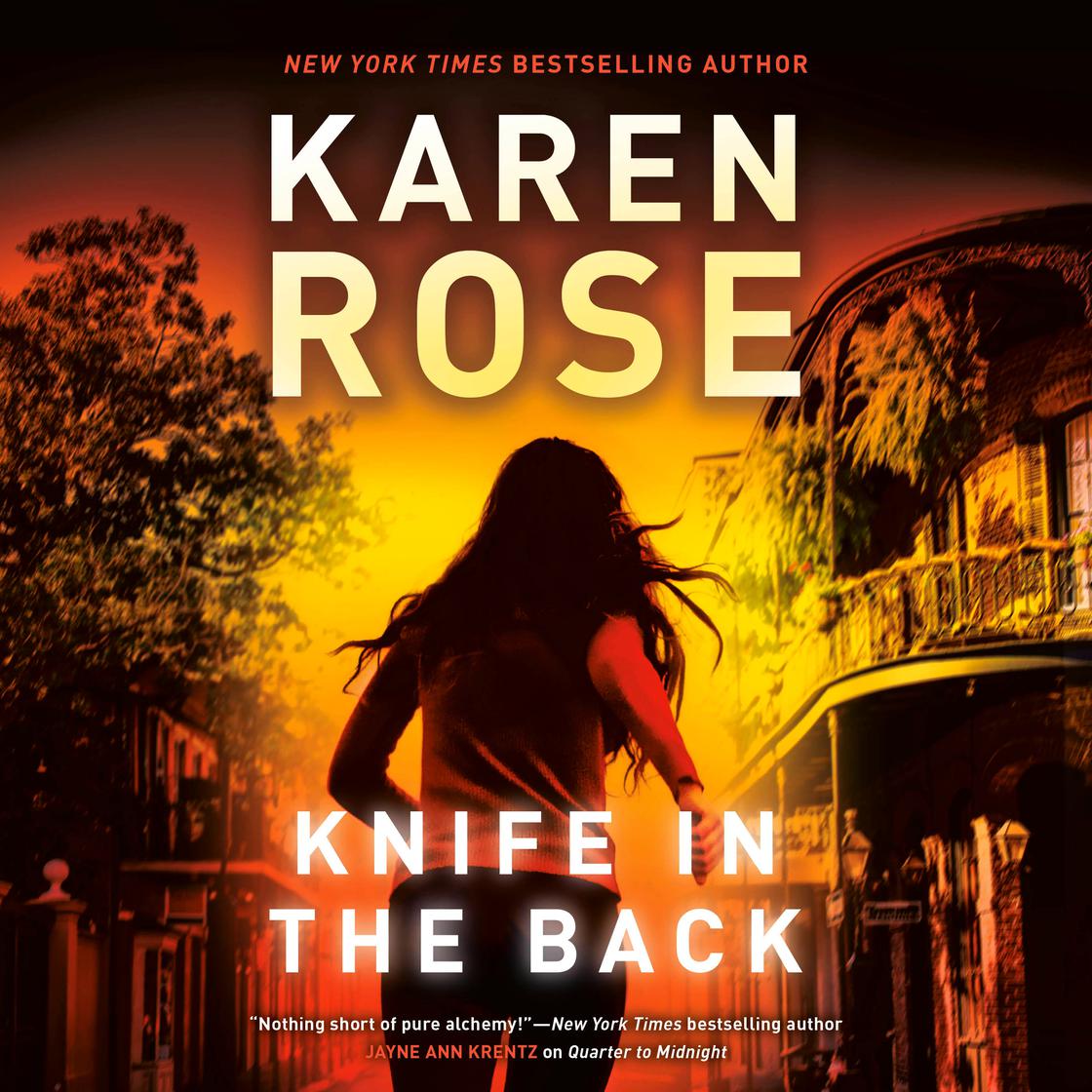 Romantic Suspense book cover 2