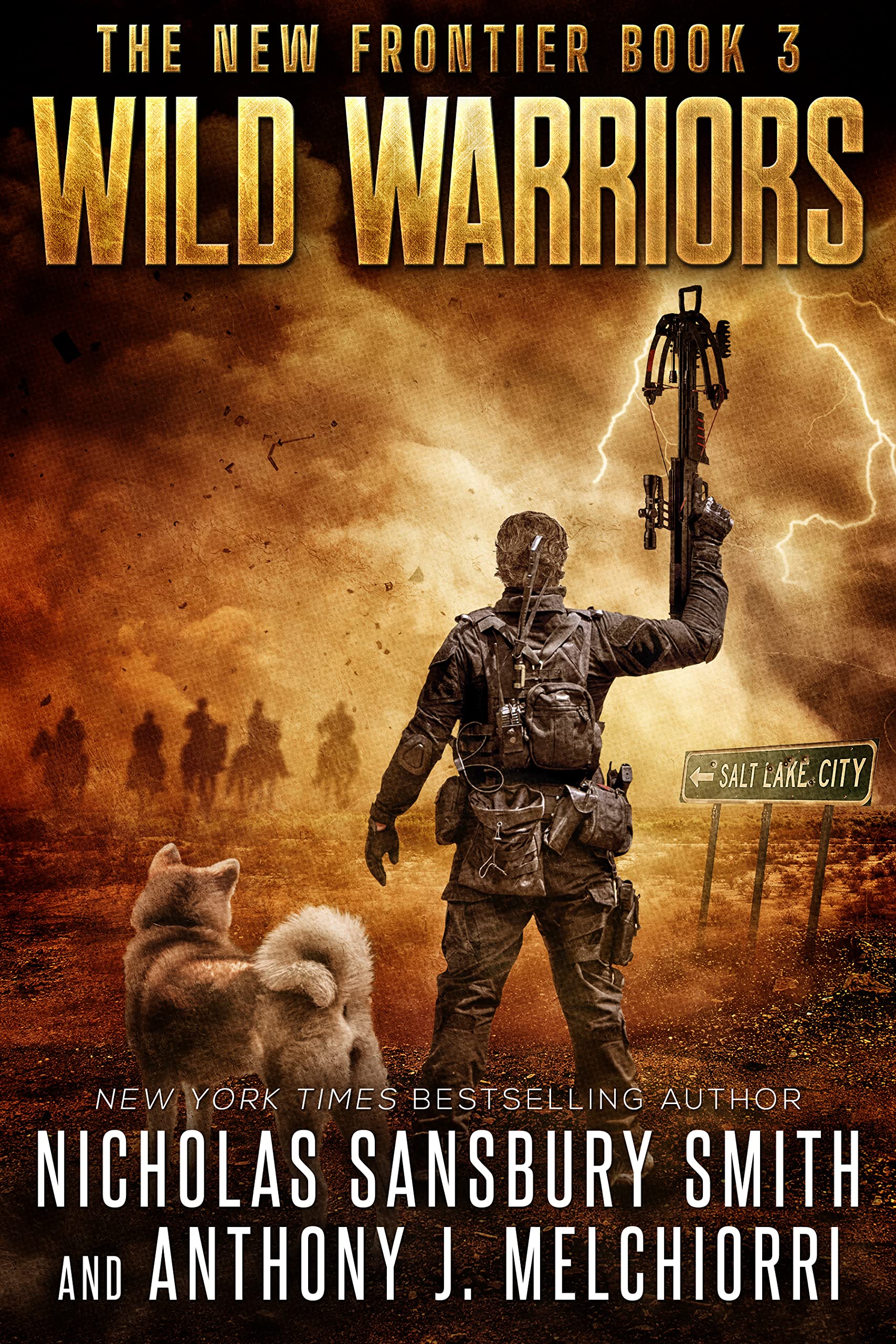 New Frontier book cover 3
