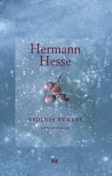 Vidinis turtas book cover