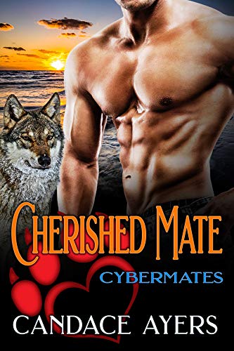 Cybermates book cover 1
