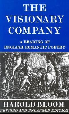 The Visionary Company book cover