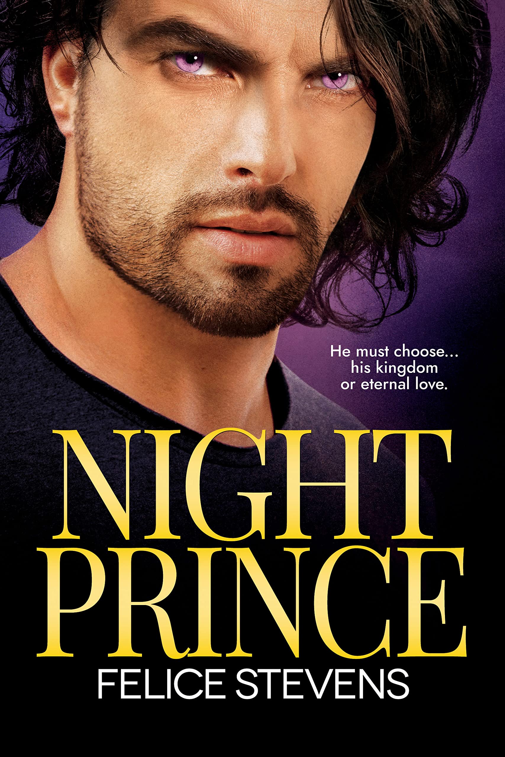 Night Prince book cover