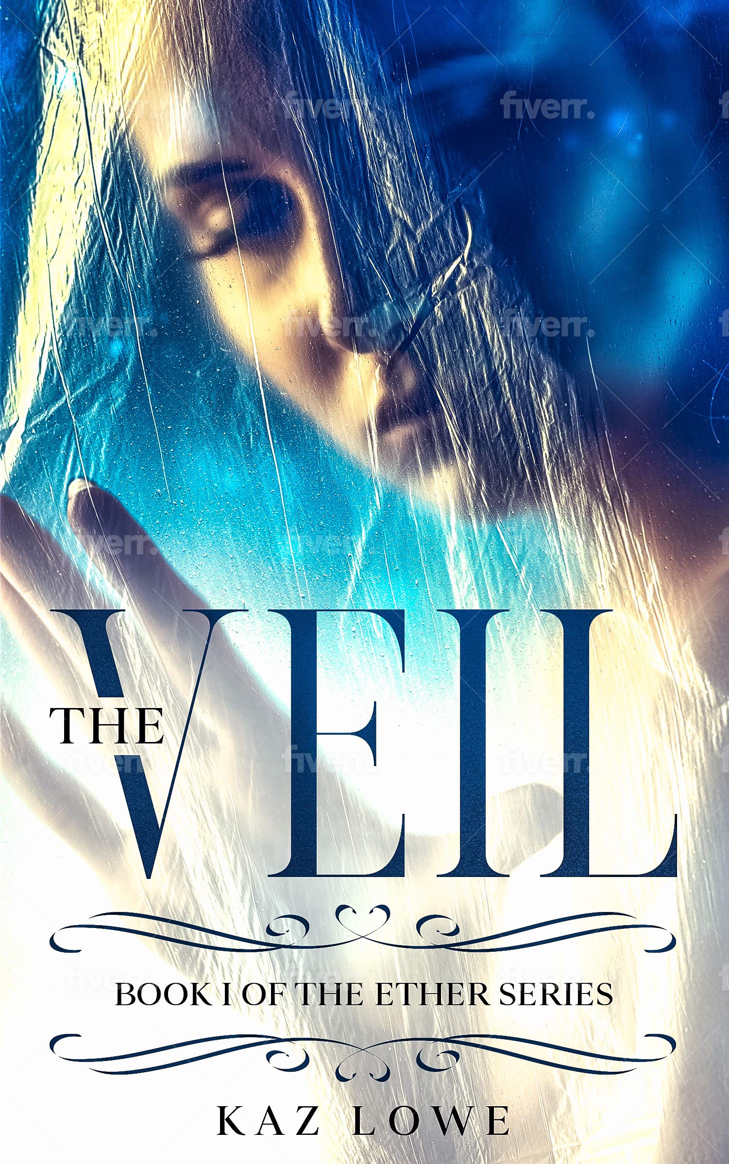 The Veil book cover