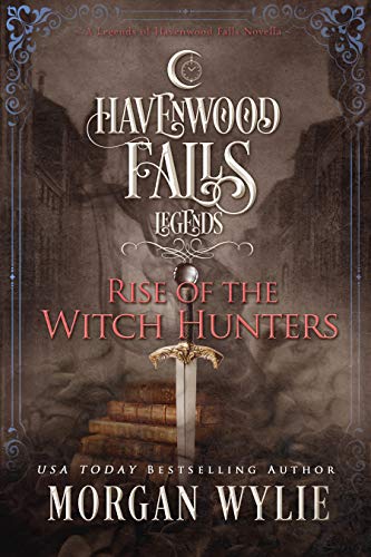 Blackstone Witch Hunters book cover 2