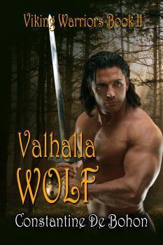 Viking Warriors book cover 3