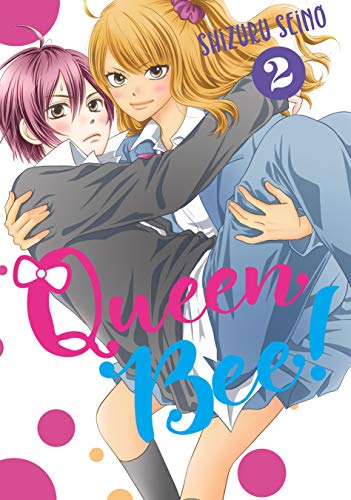 青春乙女番長! [Seishun Otome Banchou!] book cover 2