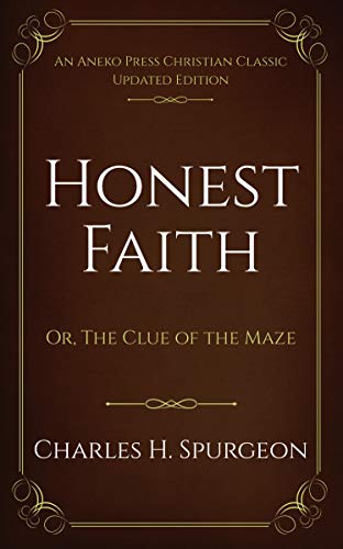 The Clue Of The Maze book cover