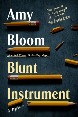 Blunt Instrument book cover