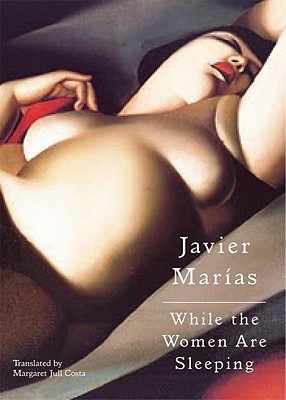 While the Women Are Sleeping book cover