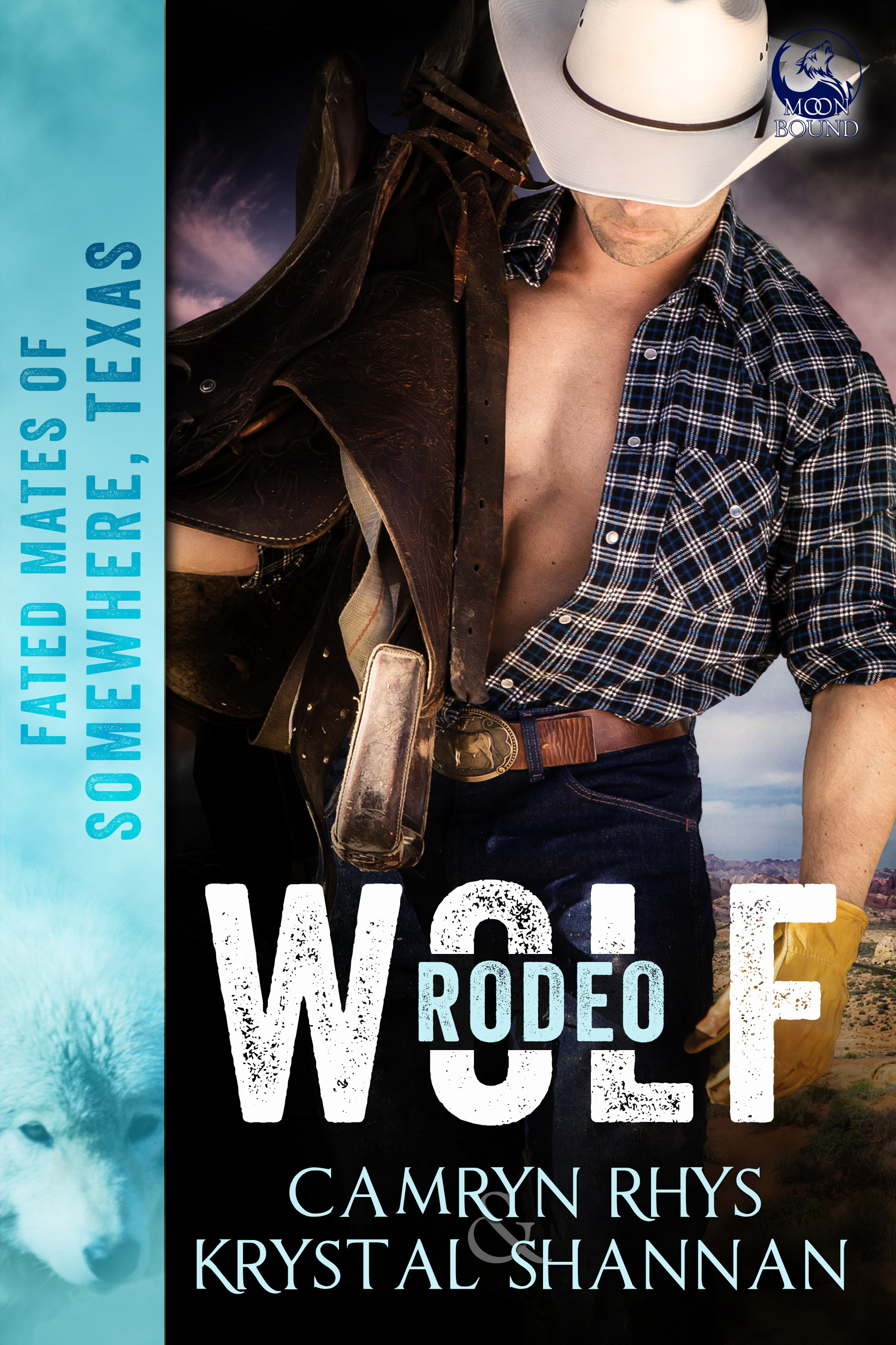 Fated Mates of Somewhere, TX book cover 2