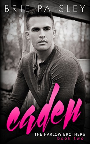 The Harlow Brothers book cover 2
