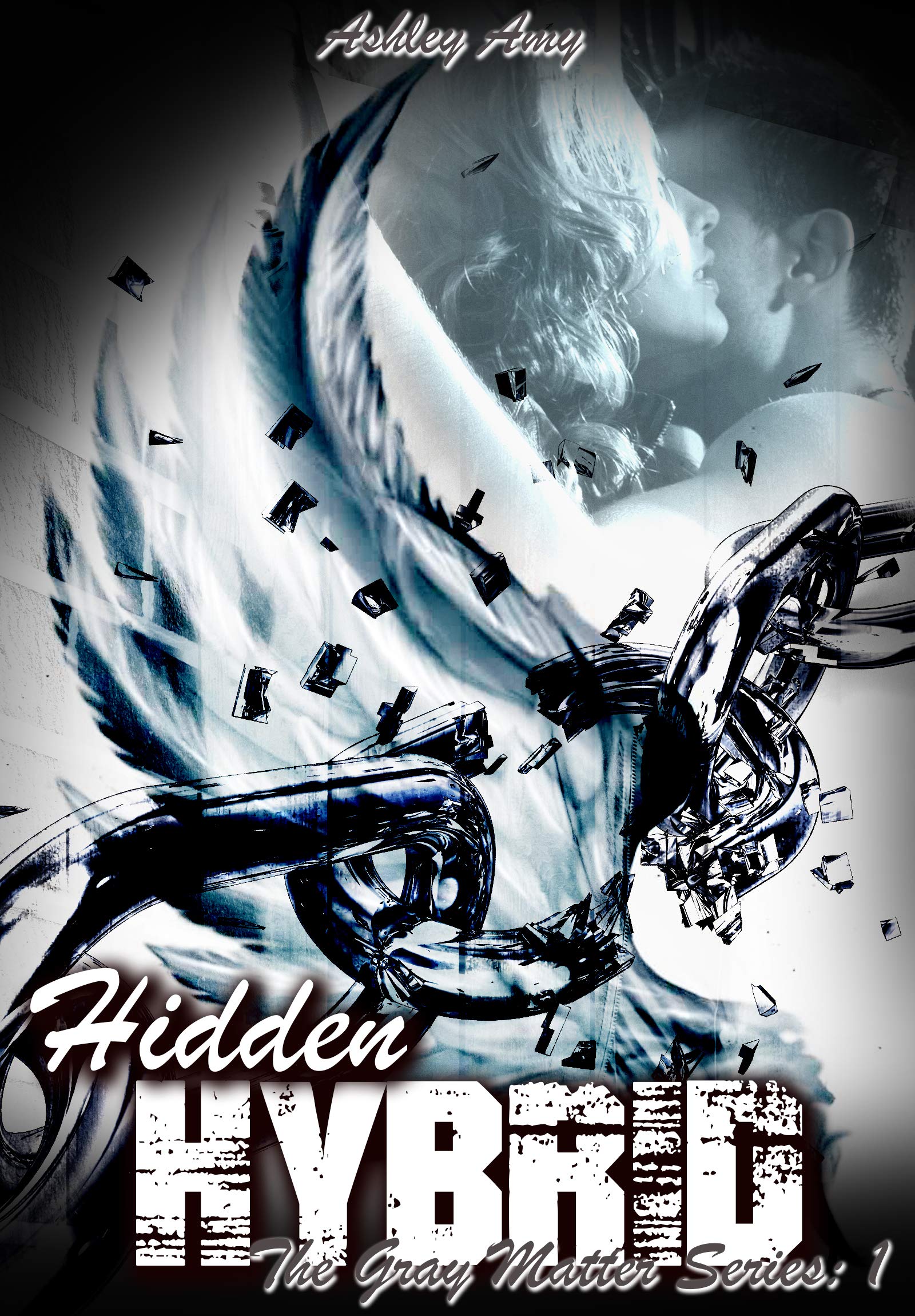Gray Matter book cover 1