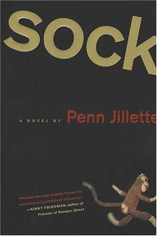 Sock book cover