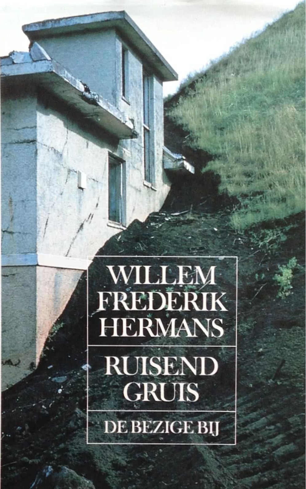Ruisend gruis book cover