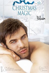 Christmas Magic book cover
