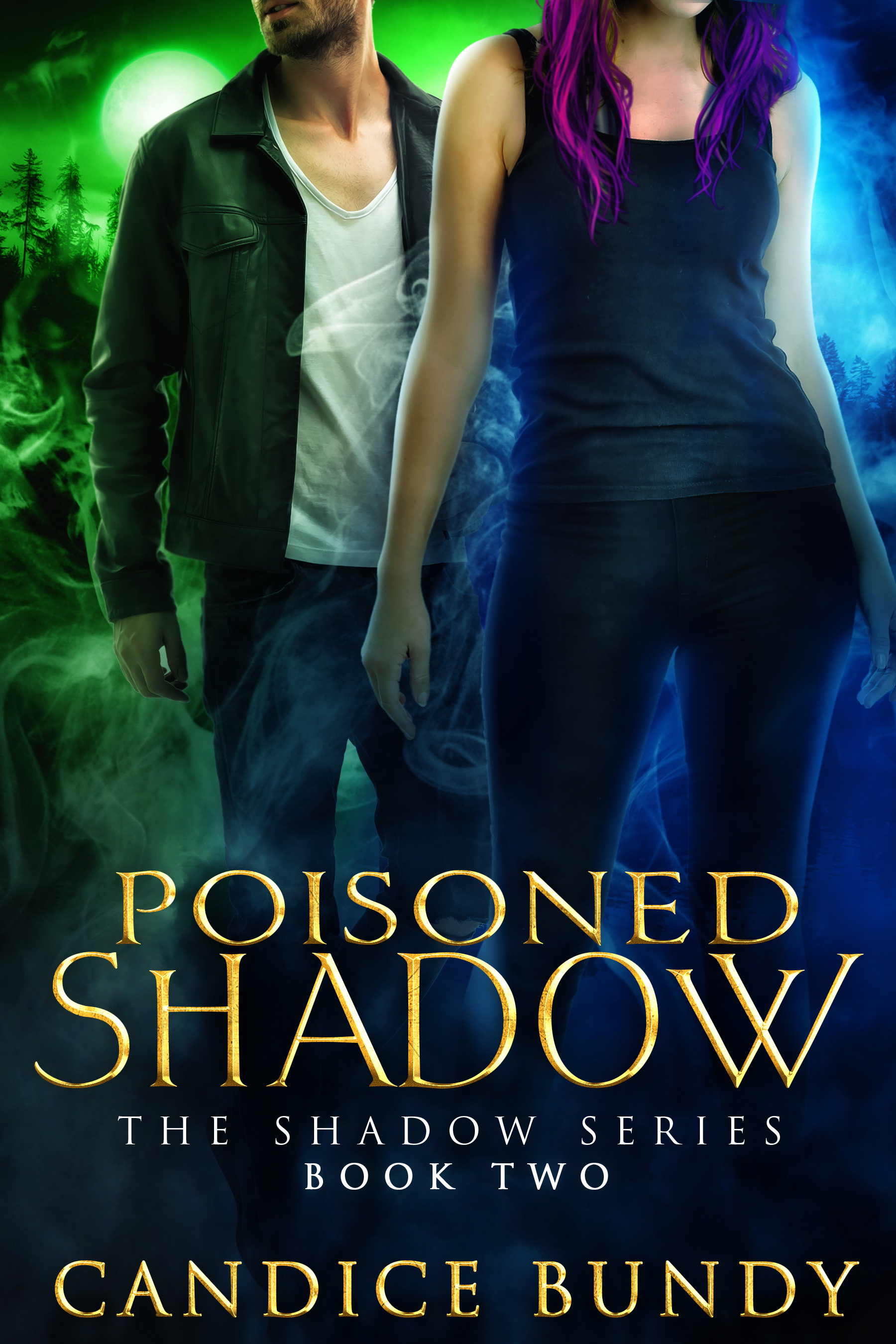 The Shadow Series book cover 2
