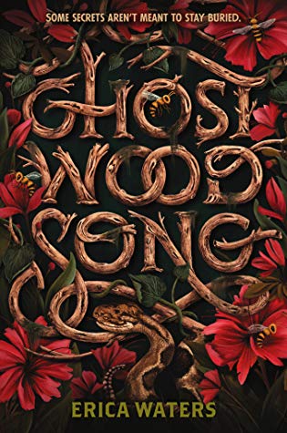 Ghost Wood Song book cover