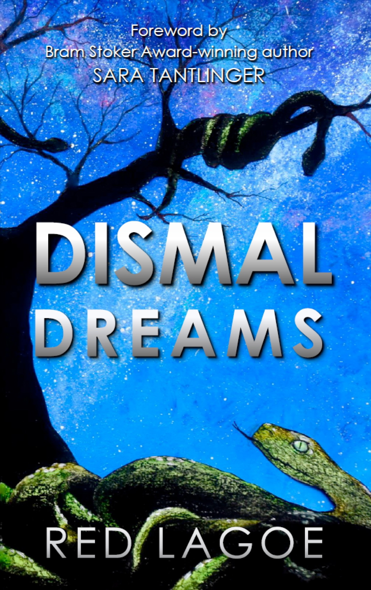 Dismal Dreams book cover