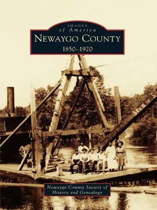 Newaygo County book cover