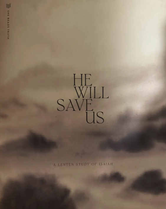 He Will Save Us book cover