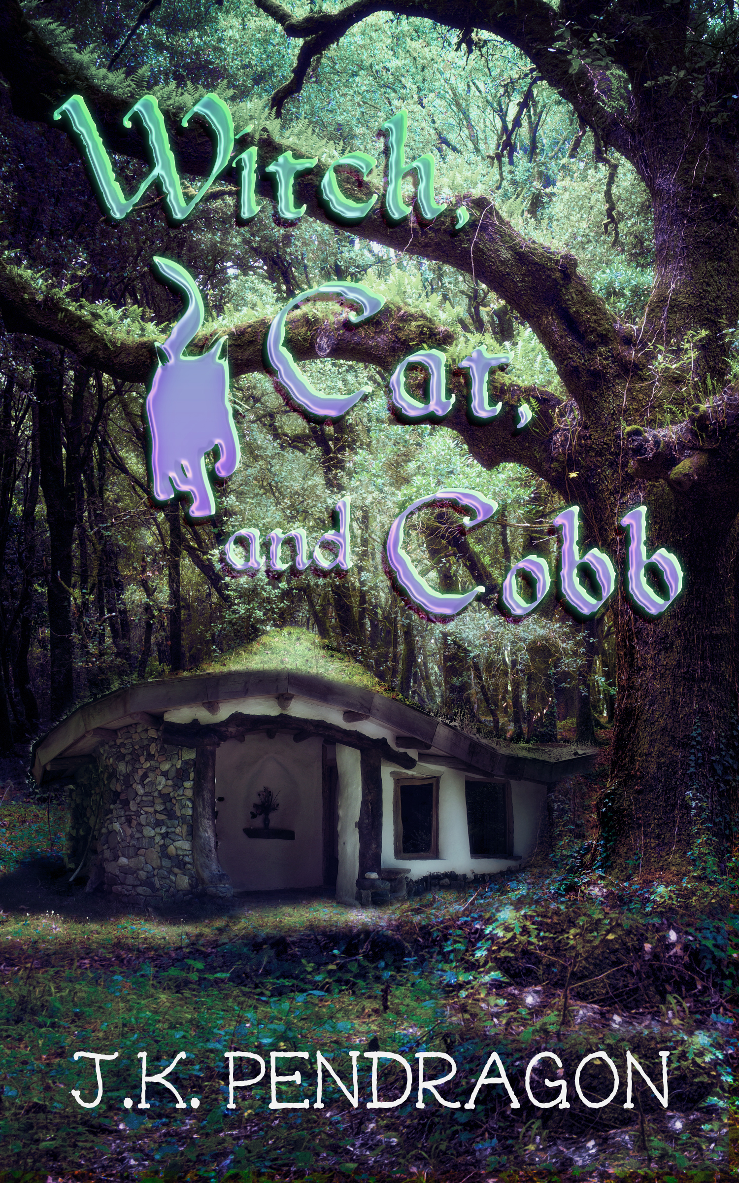Witch, Cat, and Cobb book cover