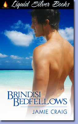 Brindisi Bedfellows book cover